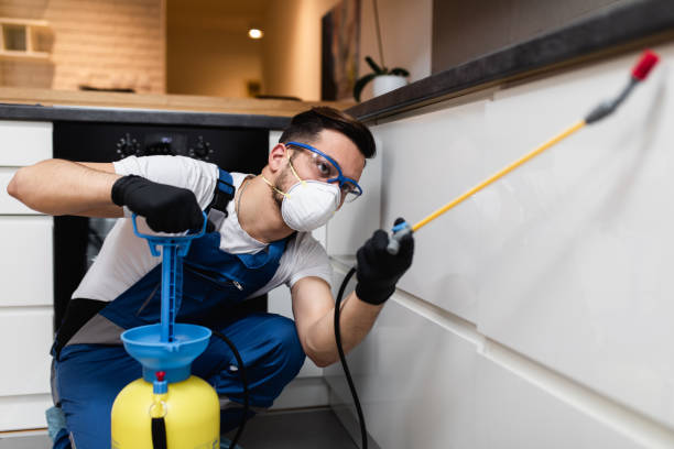 Best Emergency Pest Control  in South Haven, IN