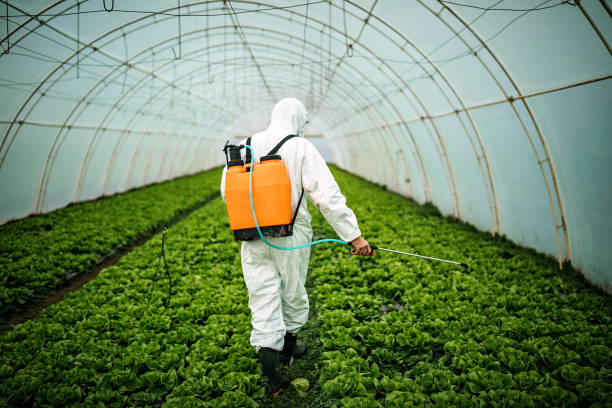 Best Residential Pest Control  in South Haven, IN
