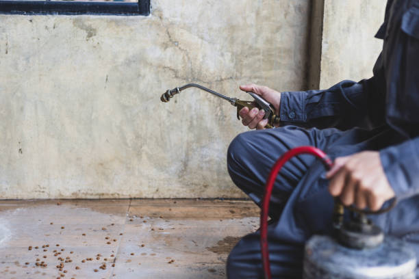 Best Best Pest Control Companies  in South Haven, IN